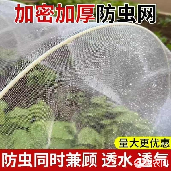 防虫网在畜牧业中的卓越应用与价值，25年新货工厂直销抢先体验