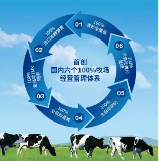 得益乳业闪耀第33届山东畜牧业博览会，荣膺“最具影响力企业”彰显行业翘楚风范